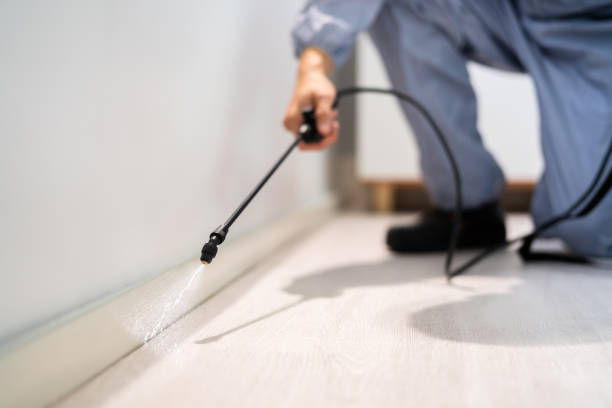 Licensed Fumigation Services service in Henry County County, KY - Nex Pest Control